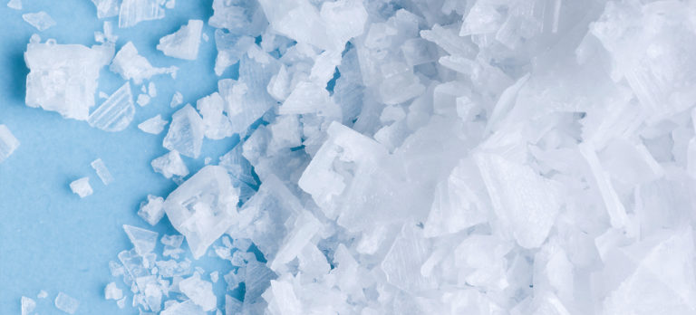 Hemma hos familjen Hanson på Salinity