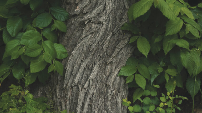 Stiftelser – långsiktigt eller inlåst?