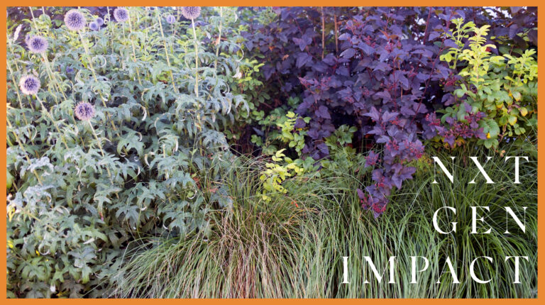 Föreläsning, middag och samtal om impactinvesteringar