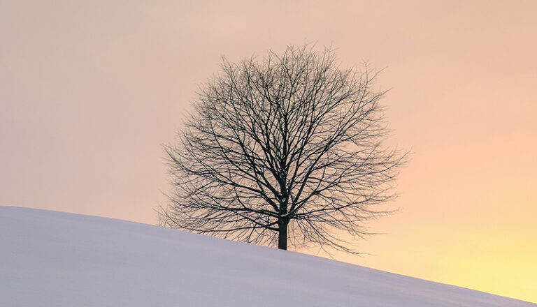 Att släppa taget och lämna över