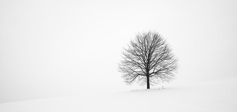 Att förbereda sig för krig