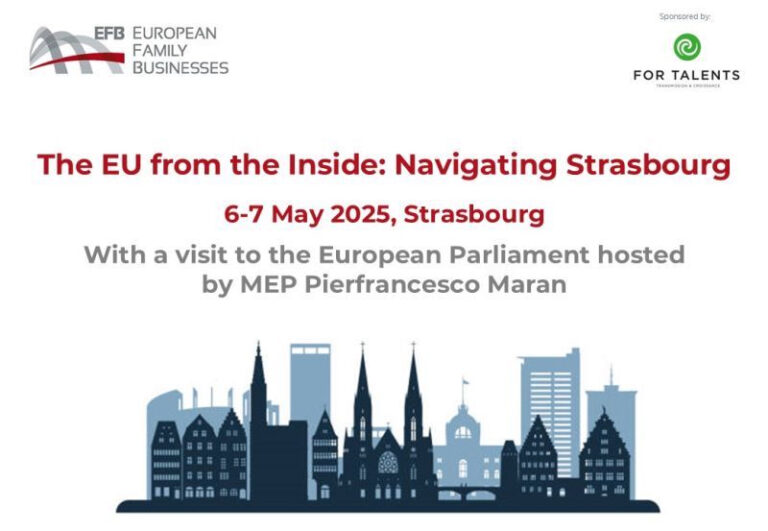 EU from the inside: Navigating Strasbourg