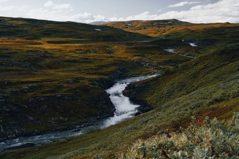 Ägarfamiljer och filantropi